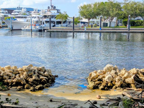 Riverside Estates, 1613 SW 12th Ct, Fort Lauderdale, Florida 33312, image 1
