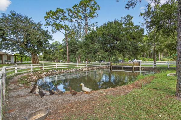 The Acreage, 5899 120th Ave N, West Palm Beach, Florida 33411, image 1