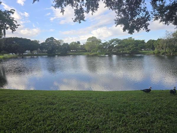 3567 NW 94th Ave #4D, Sunrise, Florida 33351, image 1