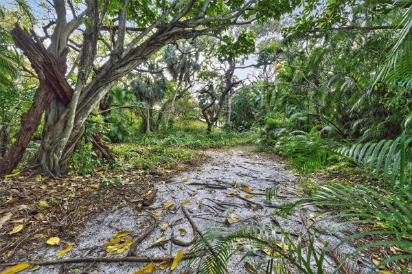 Oak Lane, 1711 SW 30th Pl, Fort Lauderdale, Florida 33315, image 3