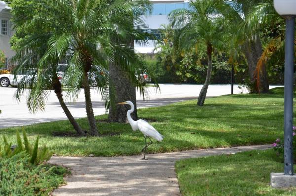 Bay Colony Club, 6307 Bay Club Dr #3, Fort Lauderdale, Florida 33308, image 1