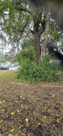  #, Unincorporated Dade County, Florida 33142, image 1