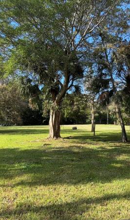 Pine Tree Estates, 5911 NW 66th Way, Parkland, Florida 33067, image 1