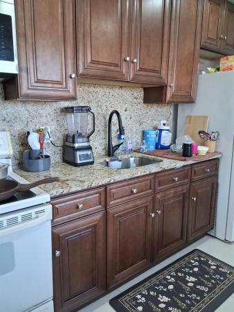 North Hollywood, 338 SW 15th St #338, Dania Beach, Florida 33004, image 1