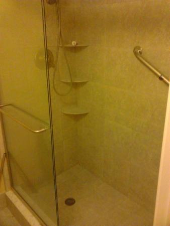 1100 SW 128th Ter #201, Pembroke Pines, Florida 33027, image 1