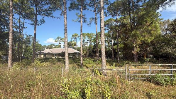 The Acreage, 14817 97th Rd N, West Palm Beach, Florida 33412, image 2