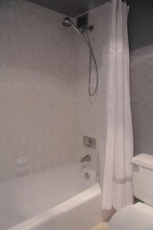 11111 Biscayne Blvd #1901, Unincorporated Dade County, Florida 33181, image 3