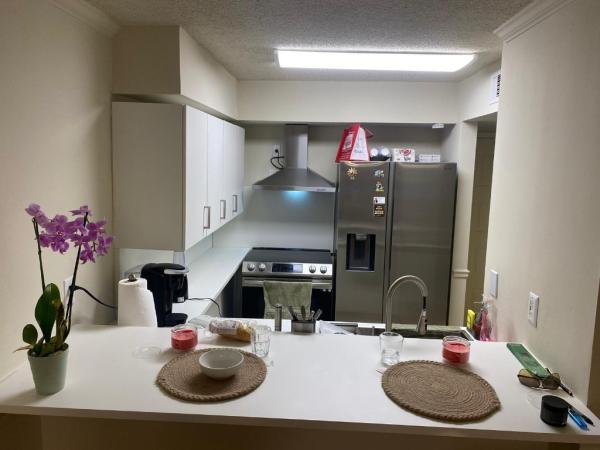 University Inn, 1280 S Alhambra Cir #1105, Coral Gables, Florida 33146, image 1