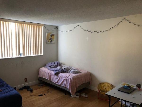 Polynesian Gardens, 406 NW 68th Ave #509, Plantation, Florida 33317, image 1