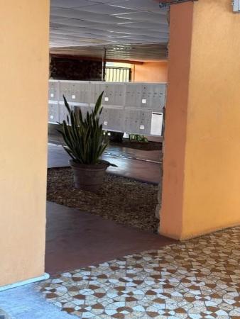 Malky, 365 NE 125th St #305, North Miami, Florida 33161, image 2