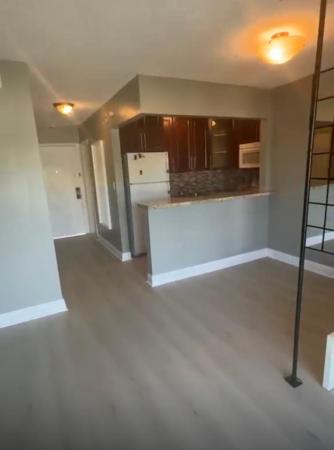 Malky, 365 NE 125th St #305, North Miami, Florida 33161, image 3