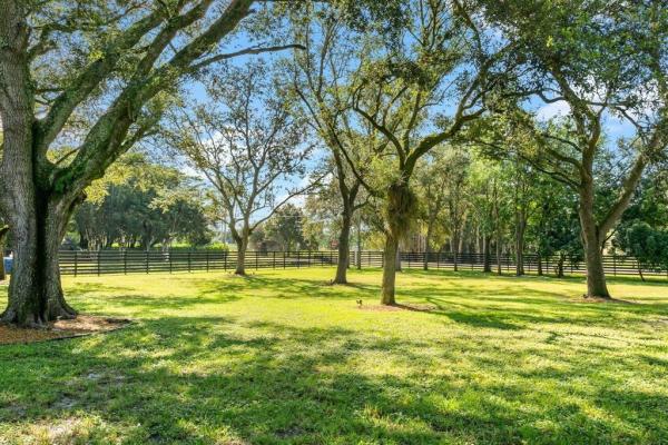 Sunshine Ranches, 6541 Melaleuca Rd, Southwest Ranches, Florida 33330, image 2