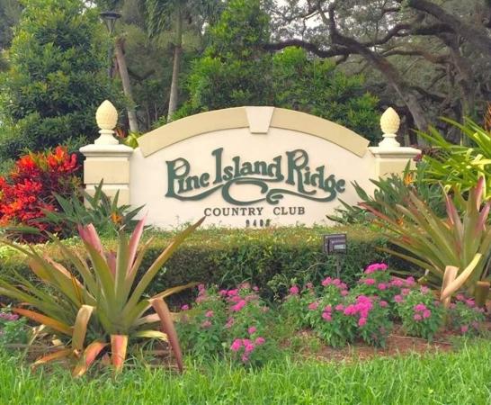 Sabal Palm Of Pine Island Ridge, 9501 Seagrape Dr #305, Davie, Florida 33324, image 1