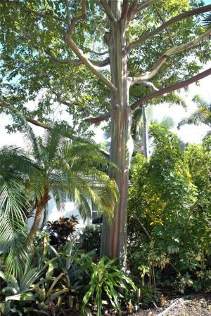 Amadale, 2708 NE 10th Ter, Wilton Manors, Florida 33334, image 3