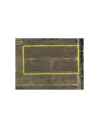 Redland Citrus Orchards, 149XX SW 149xx 224th St STREET, Redland, Florida 33170, image 1