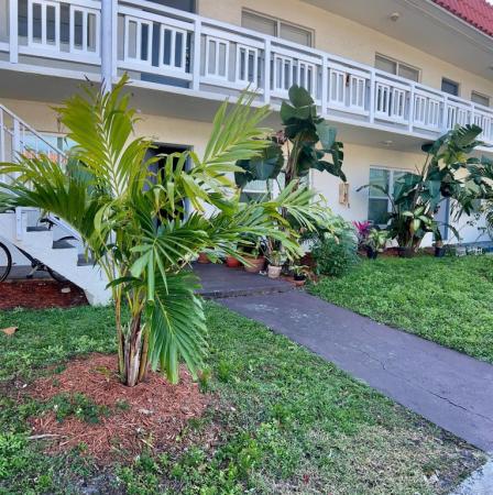 Deerfield Palms, 1333 S Dixie Hwy #202, Deerfield Beach, Florida 33441, image 3