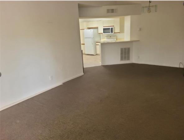 Edgewater, 8741 Wiles Rd #305, Coral Springs, Florida 33067, image 3