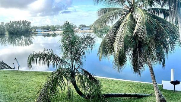 Wincast Arms, 4311 Crystal Lake Dr #213, Deerfield Beach, Florida 33064, image 1