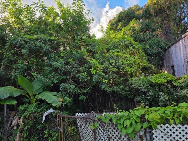 Bay Vista Park, 660 NW 43rd St, Miami, Florida 33127, image 2