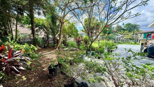 Boniello Gardens, 280 NE 40th Ct, Oakland Park, Florida 33334, image 3