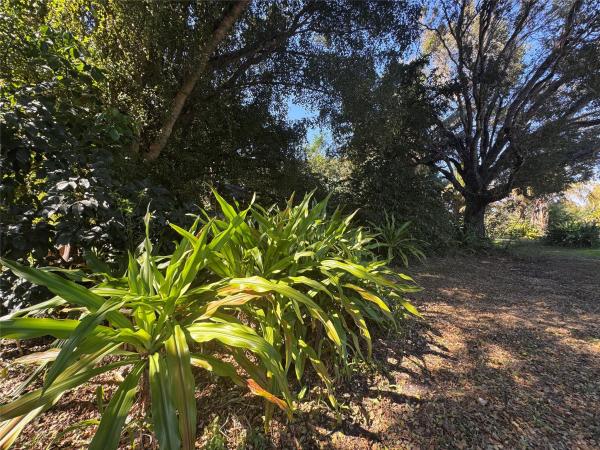 Green Glades South, 5911 SW 196th Ln, Southwest Ranches, Florida 33332, image 1