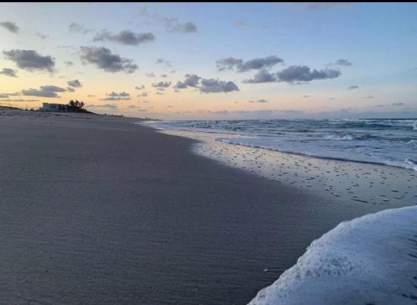 Ocean Resorts, 871 Osprey Ln, Fort Pierce, Florida 34949, image 3