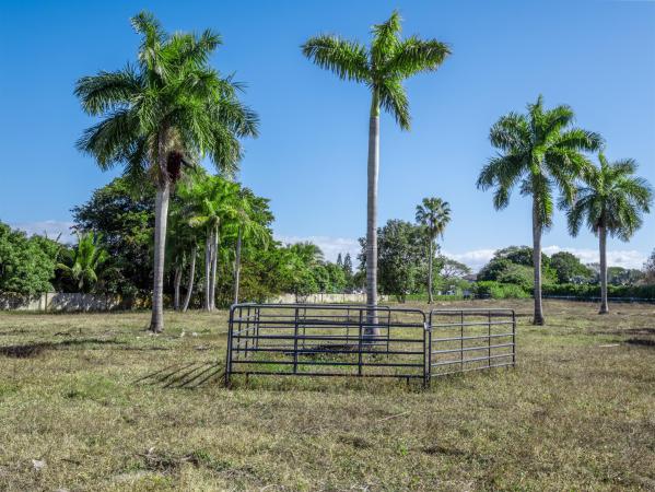 Rolling Oaks Estates, 17701 SW 54th St, Southwest Ranches, Florida 33331, image 2