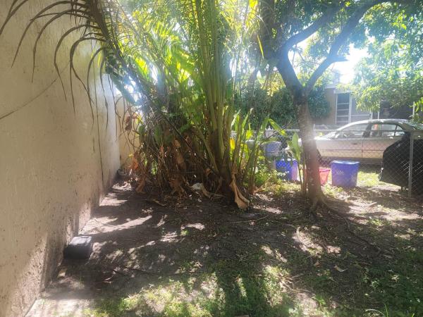 Golden Gate, 211 Washington Dr, Coral Gables, Florida 33133, image 3