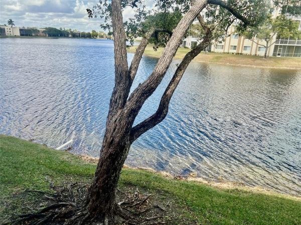 Ashmont, 7426 Ashmont Cir #211, Tamarac, Florida 33321, image 1