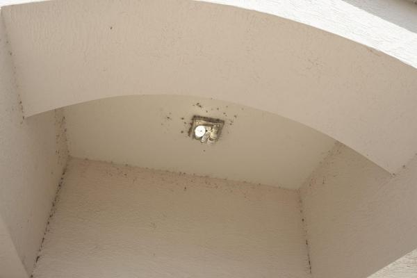 Northport Village, 722 NW Treemont Ave, Port St. Lucie, Florida 34983, image 3