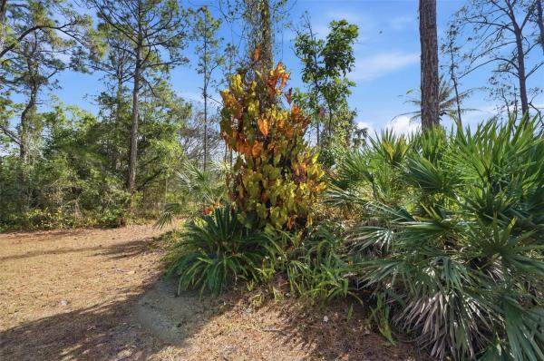 14142 Peace River Way, Palm Beach Gardens, Florida 33418, image 3