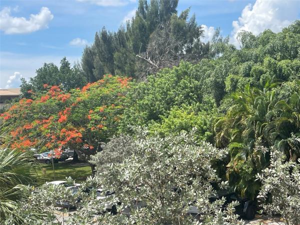 Abaco Village, 1605 Abaco Dr #M4, Coconut Creek, Florida 33066, image 1