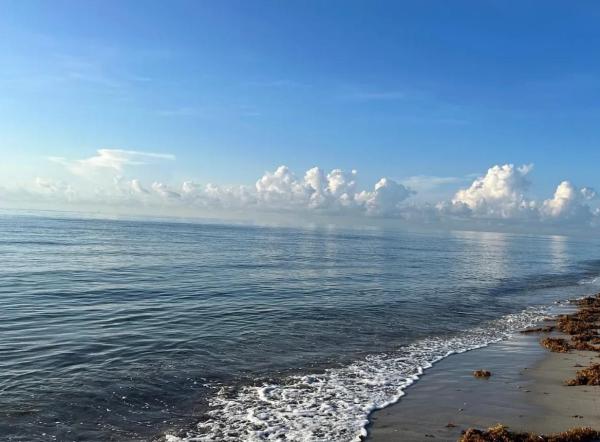 Wahoo, 3222 Marine Dr, Pompano Beach, Florida 33062, image 1