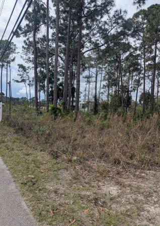 The Acreage, 5421 Royal Palm Beach Blvd BOULEVARD, West Palm Beach, Florida 33411, image 3