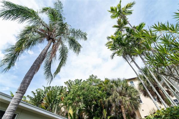 Mid Mari, 3230 NE 13th St #203, Pompano Beach, Florida 33062, image 2