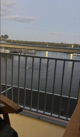 Ocean Harbour North, 5167 N Highway A1a #201, Fort Pierce, Florida 34949, image 1