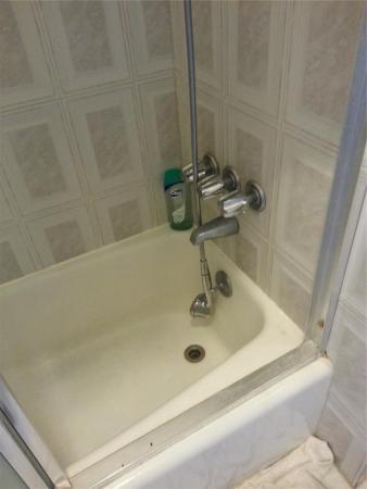 Attache Garden, 2710 S Ocean Dr #406, Hollywood, Florida 33019, image 3