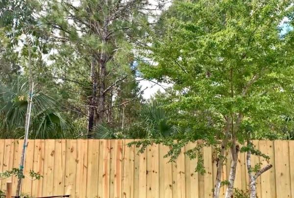 Zen Estates, 18318 Sw 139th Path, Richmond West, Florida 33177, image 1