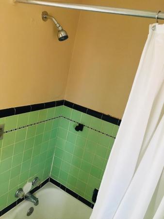 St James Court, 1725 Hayes St, Hollywood, Florida 33020, image 1