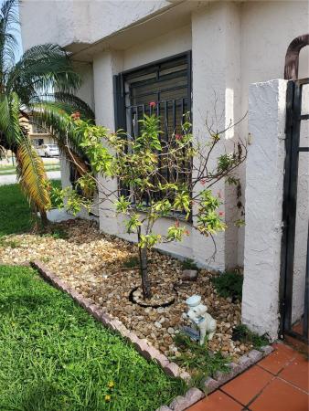 The Villas At Samari Lake, 8191 NW 98th Ter #128, Hialeah Gardens, Florida 33016, image 3