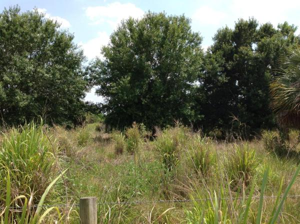 8560 Immokolee Rd, Fort Pierce, Florida 34951, image 2