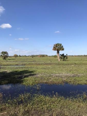 Tbd Carlton Road Extension Rd, Fort Pierce, Florida 34947, image 1