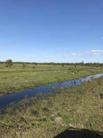 Tbd Carlton Road Extension Rd, Fort Pierce, Florida 34947, image 2