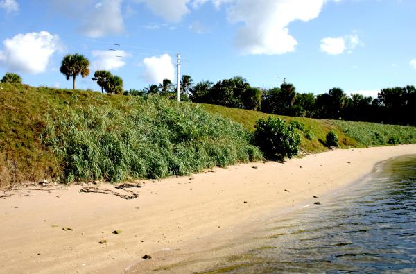 Hillsboro Mile, 1105 Hillsboro Mile, Hillsboro Beach, Florida 33062, image 2