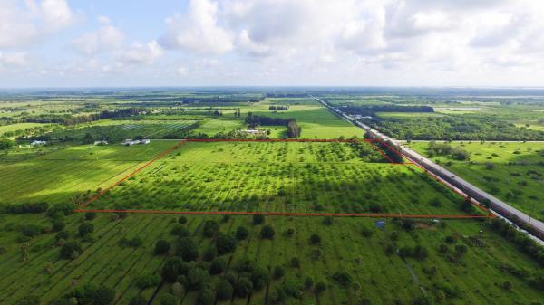 Tbd Immokolee Rd, Fort Pierce, Florida 34951, image 1