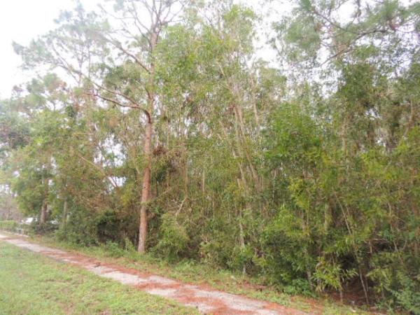 The Acreage, 13631 Temple Blvd, West Palm Beach, Florida 33412, image 1