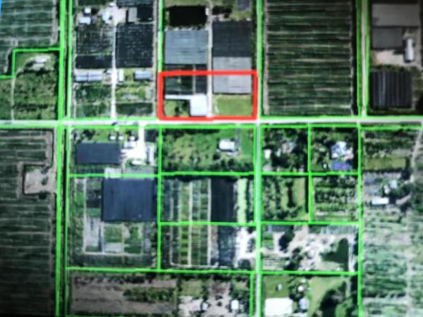 Palm Beach Farms, Smith Sundy Rd, Delray Beach, Florida 33446, image 2