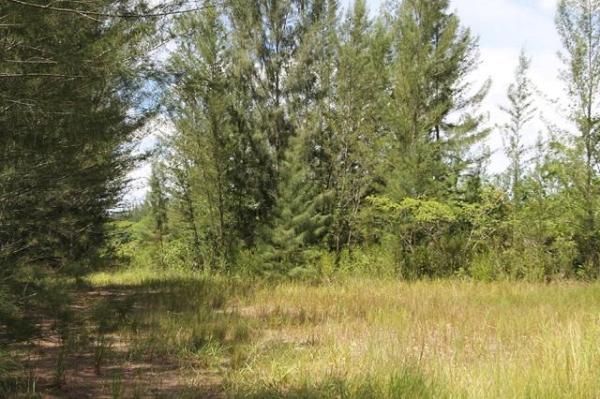 1699 Joel Blvd, Lehigh Acres, Florida 33972, image 1