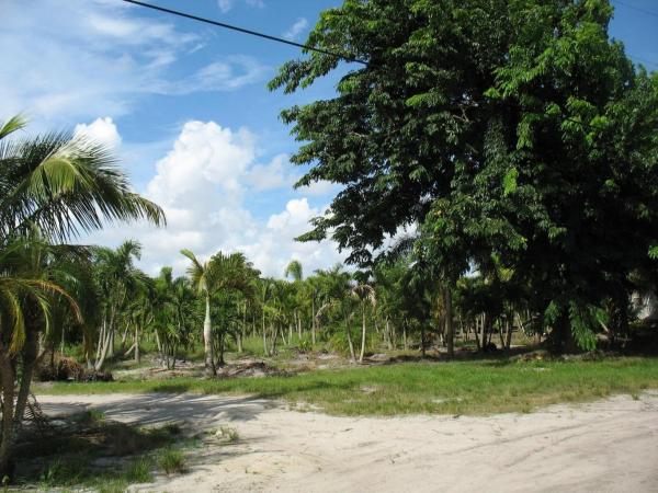Palm Beach Farms, 15250 Persimmon Ave, Delray Beach, Florida 33446, image 1