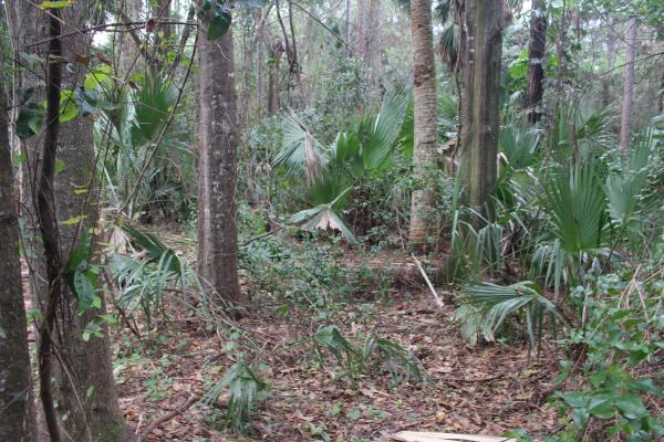 Palm Beach Farms, 153 Possum Pass, West Palm Beach, Florida 33413, image 2